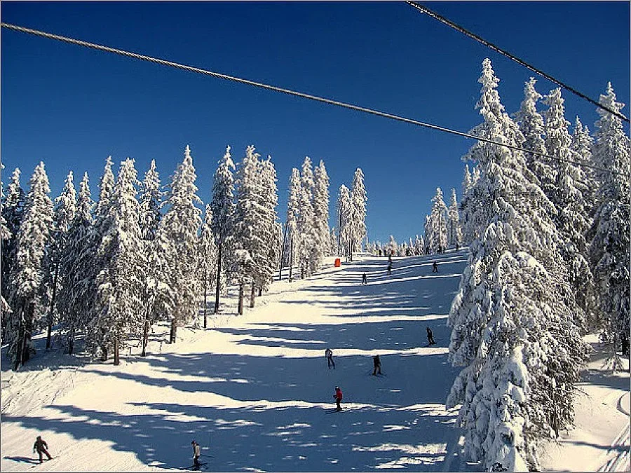 Запечатаха 2 заведения и един магазин в Пампорово