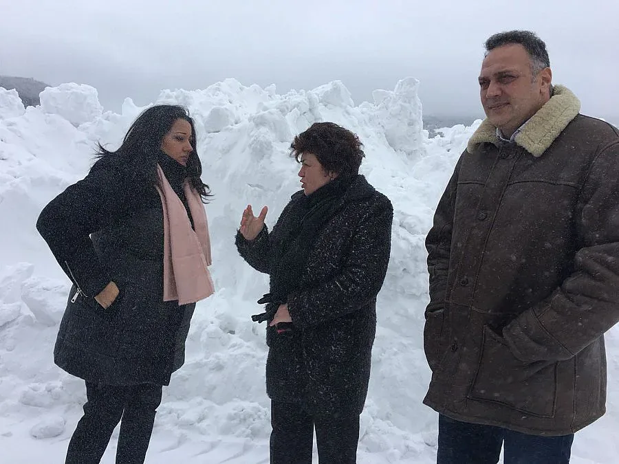 Павлова размаха пръст на фирми за почистване