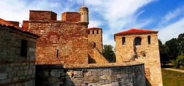 „Баба Вида" става общинска