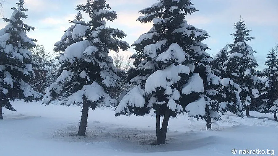 Сняг до петък, поледици в събота и неделя