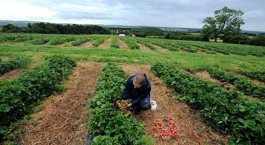 23 хил. са работили на еднодневни договори
