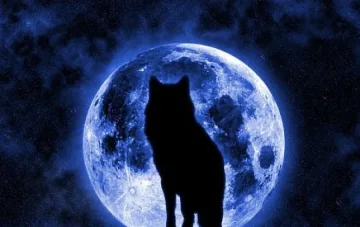 Тази нощ наблюдаваме Вълча луна