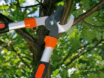 Обвиниха българин в атентат с ножици на Майорка