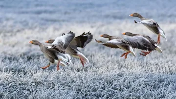 Сняг и лед днес в България, но времето се обръща тотално до часове