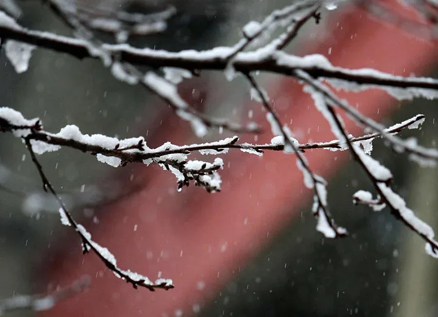 Подслон и топла храна за бедстващи в Благоевград