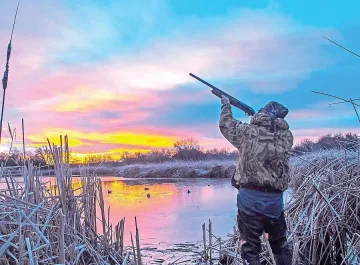 Забраниха лова на птици в 35 общини