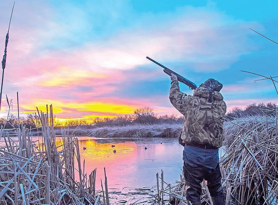 Забраниха лова на птици в 35 общини