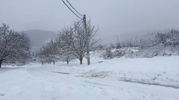 75 хиляди души без ток заради снеговете