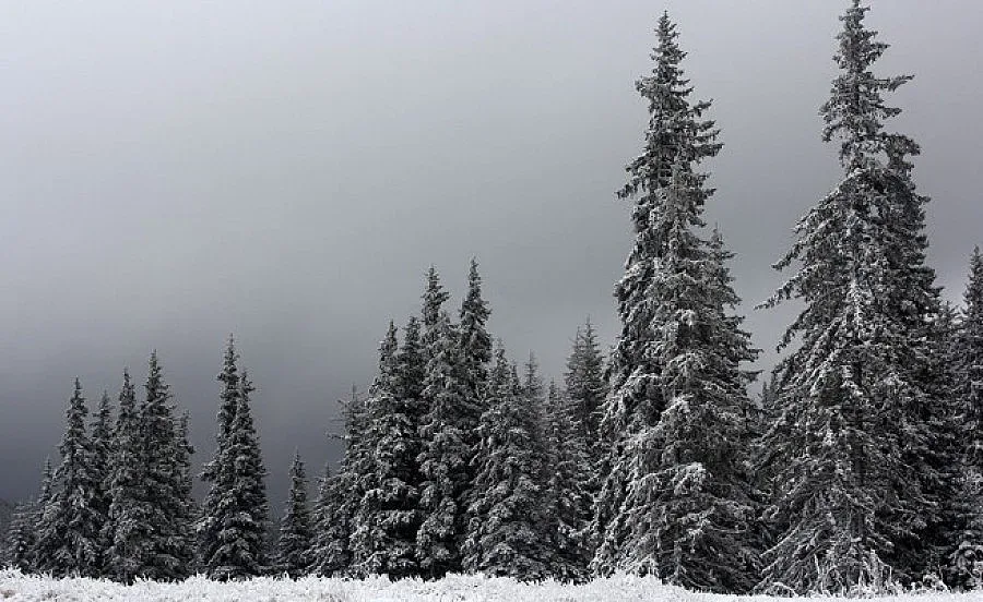 Повишена лавинна опасност в Рила