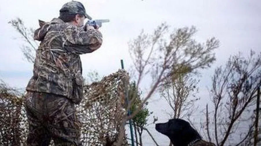 МЗХ: Болестта по птиците е опасна и за хората