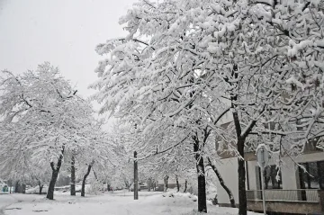 Идва арктически студ, ще има и много сняг