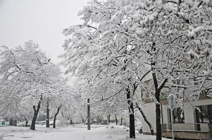 Идва арктически студ, ще има и много сняг