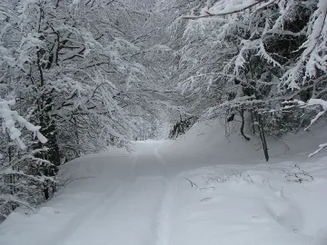 Синоптиците чакат нов сняг от 3-ти януари