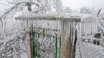 Чака ни сибирски януари