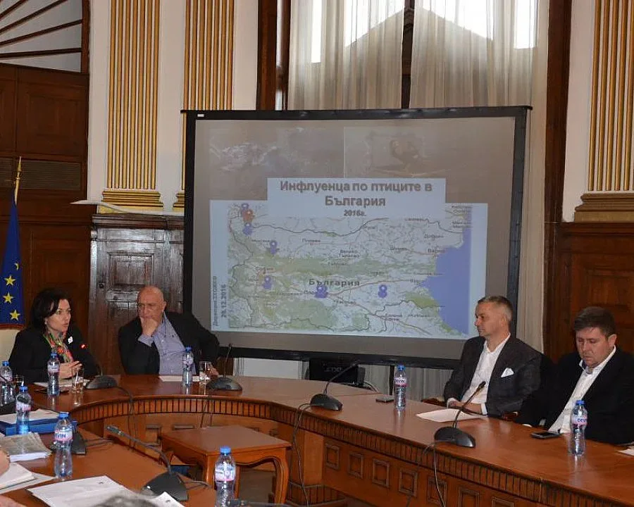 Плащат обезщетения за Инфлуенца по птиците