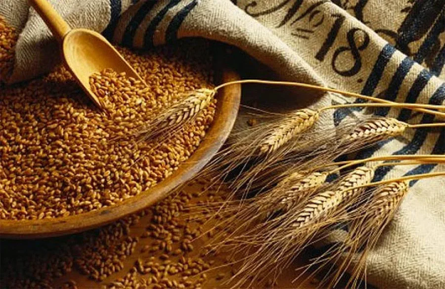 Искат минимални цени на зърното