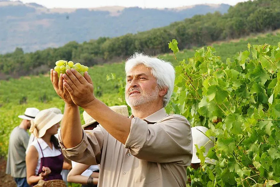 Консумацията на маркова ракия се повишава по празниците