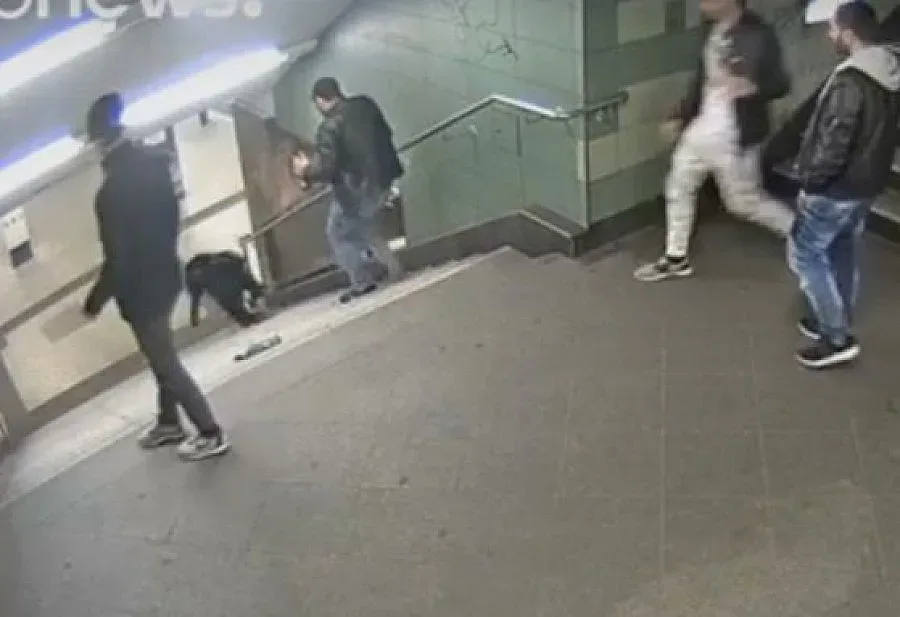 Хванаха българина, ритнал жена по стълбите