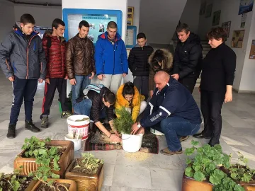 Ученици засаждат 100 дръвчета край гимназията си