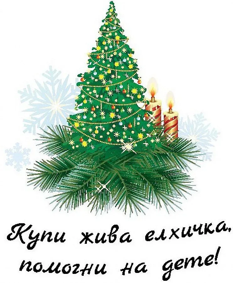 МЗХ с кампания „Купи жива елхичка, помогни на дете"