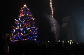 Отличник пали елхата в Гоце Делчев