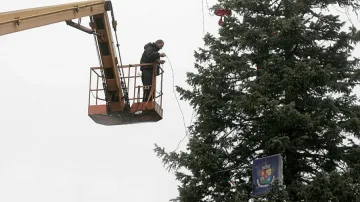 Запалват светлините на Коледната елха в София