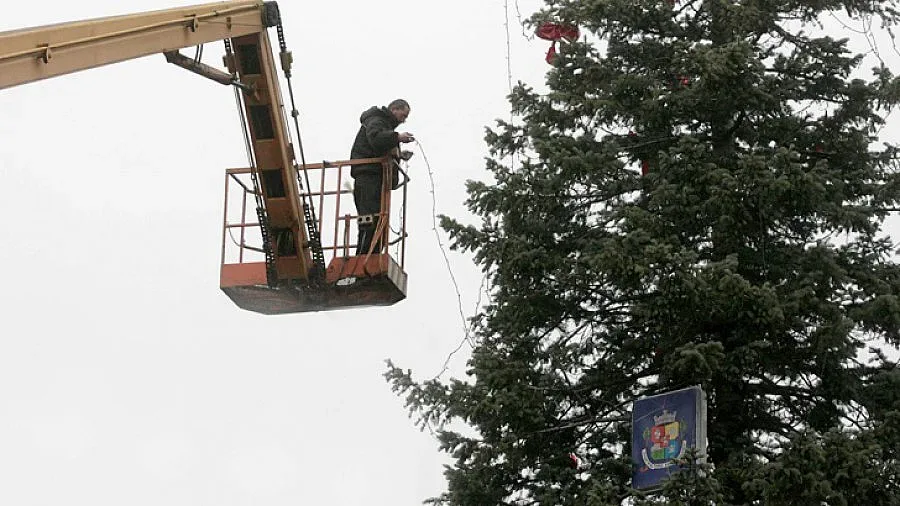 Запалват светлините на Коледната елха в София