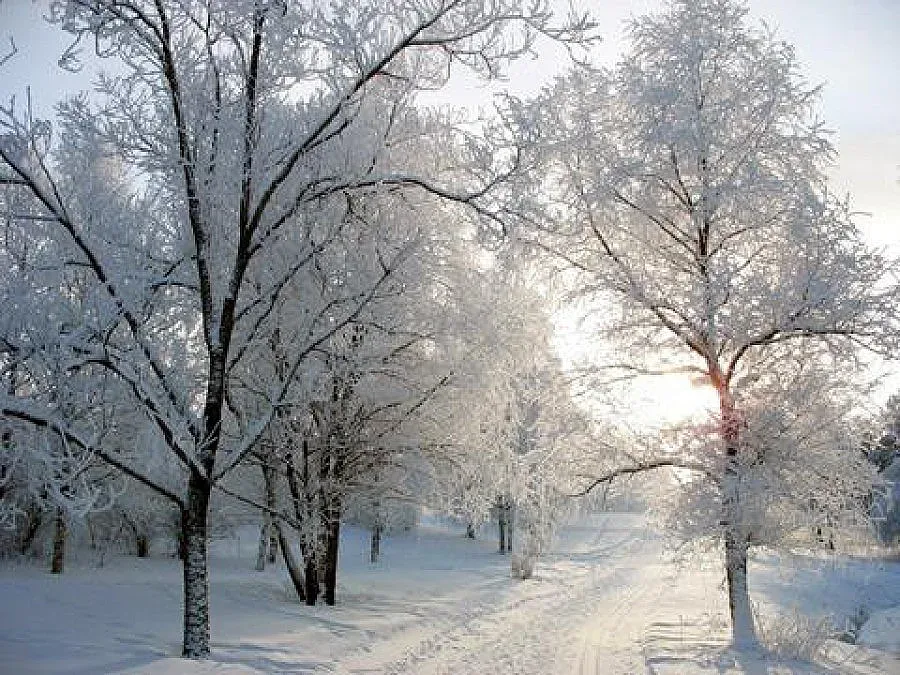 Чакат ни минус 15 градуса през декември