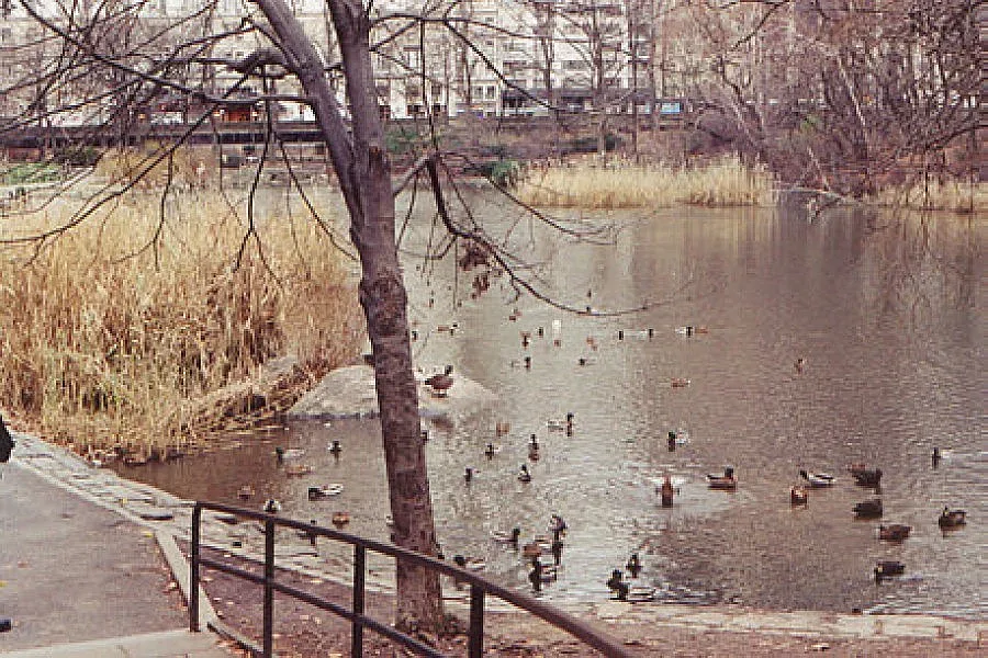 Особен поглед в литературата