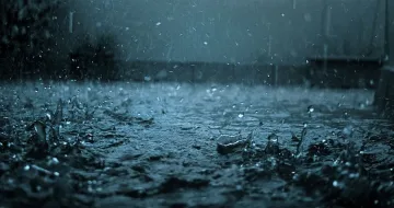 Зад мъглите на ноември