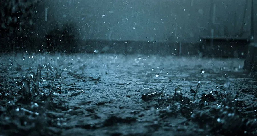 Зад мъглите на ноември