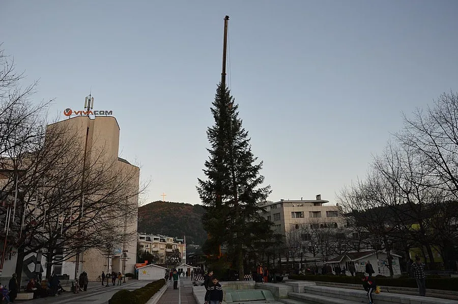 Коледна елха вече краси Благоевград