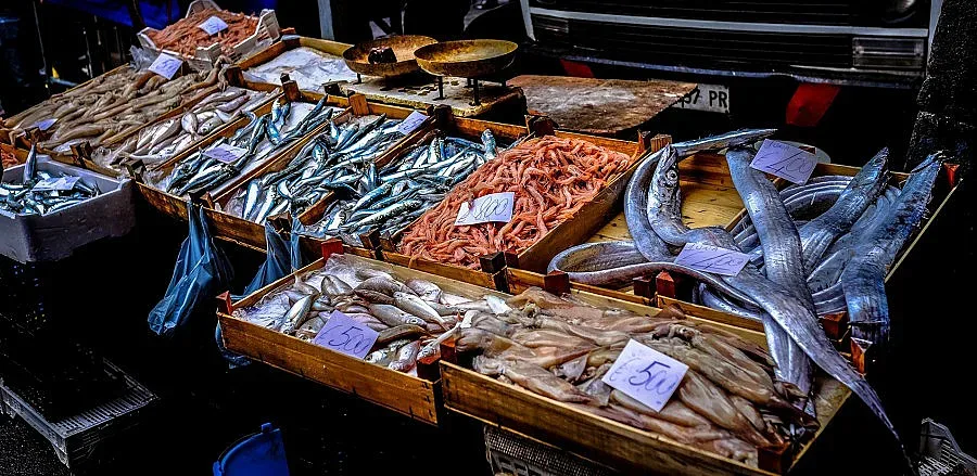 Преди Никулден! Цената на шарана притесни хората