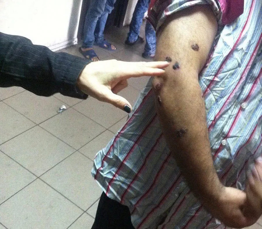 Манолова иска лекарска проверка в бежанския лагер в Харманли