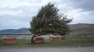 Жълт код за опасни дъжд и вятър днес