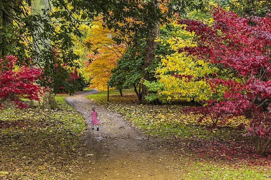 10 лека за есенната меланхолия