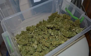 Задържаха 3 тона марихуана в Албания