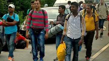 Изселиха всички мигранти от „Джунглата“ край Кале