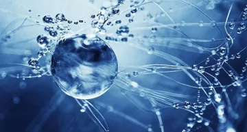 Учени от цял свят на конференция в София