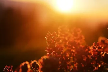 Предимно слънчево в петък