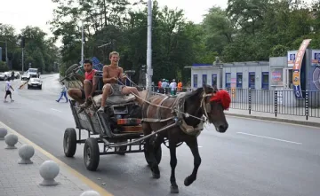 Община Сливен държи забраната за каруци да остане