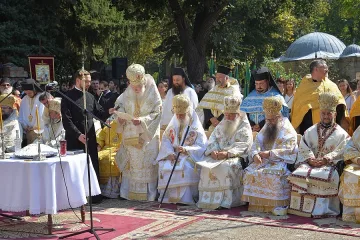Дариха на Видин мощи и  одеждите на св. Петка 