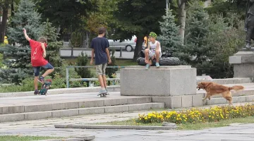 Слънчев понеделник