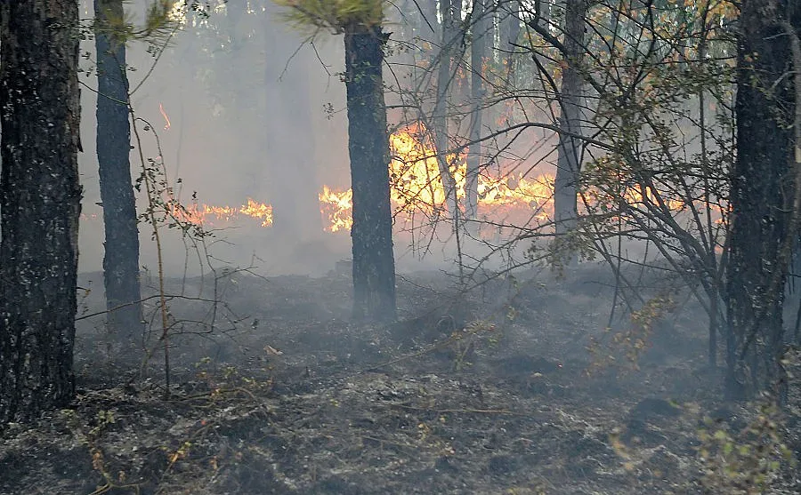 Опасност от пожари в 5 области на страната
