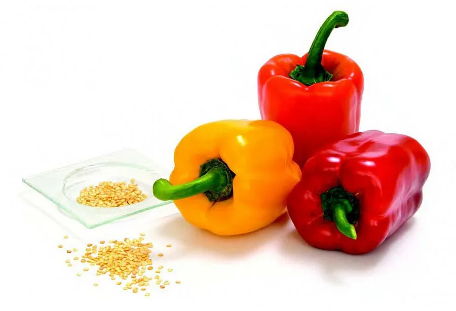 Суперхрани от БГ градината 