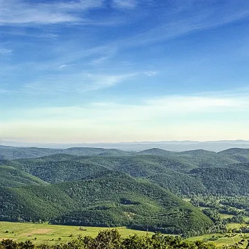 Бежанци запалиха Странджа