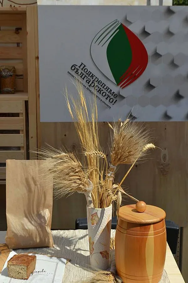 Грудев в Добрич за "Подкрепи българското"