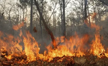 Пожарът край Тополовград вече е на три фронта