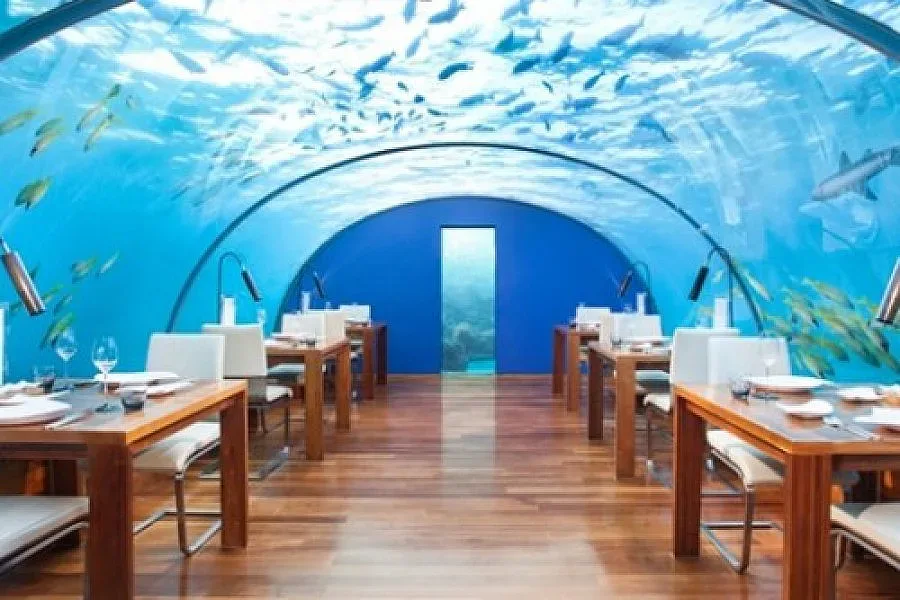 Вечеря за 320 долара в Малдивите