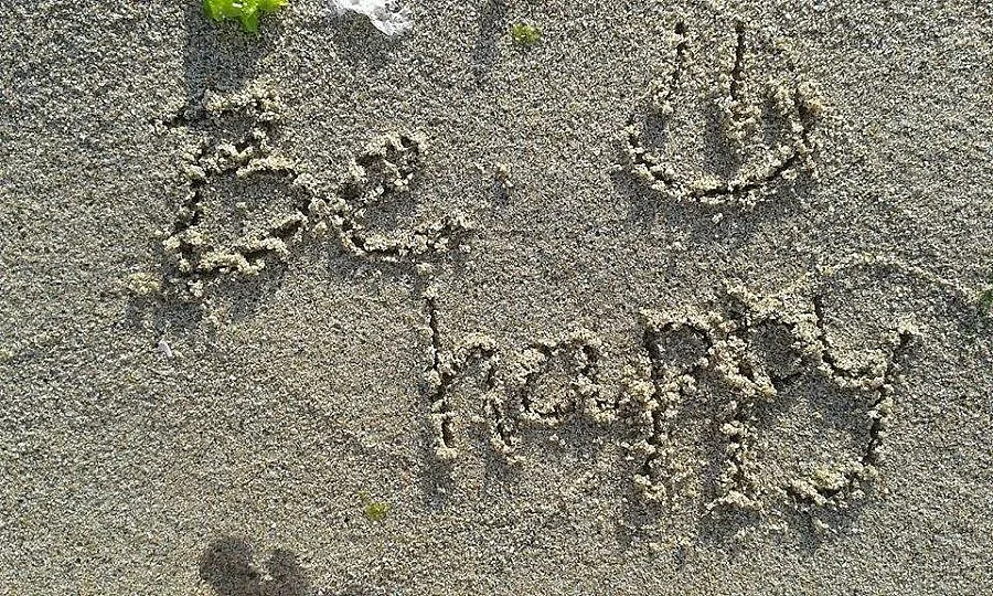 Вицове за весел уикенд